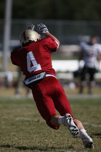 足球青训进入社区模式拓展非专业球员参与渠道，足球俱乐部青训什么条件